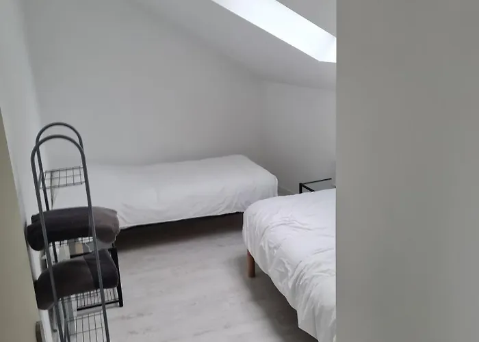 Les Mouettes Blessees * Le Crotoy