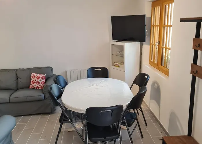 Les Mouettes Blessees * Le Crotoy